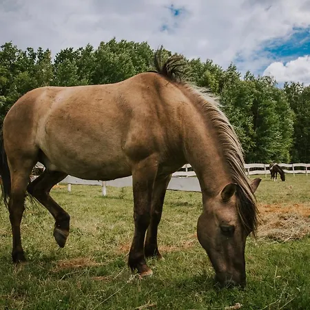 Lesny Dworek Agroturismo *