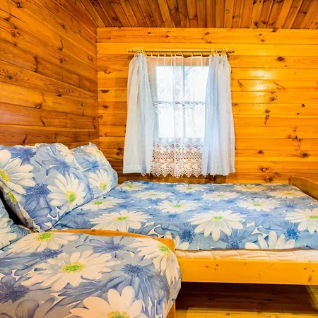 Lesny Dworek * 达尔沃沃