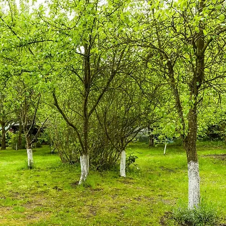 Gospodarstwo agroturystyczne Leśny Dworek *