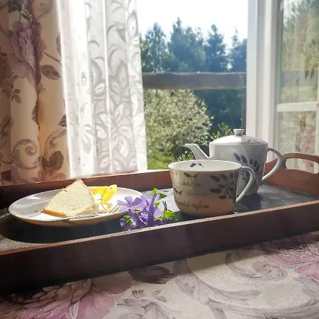 Lesny Dworek * 达尔沃沃