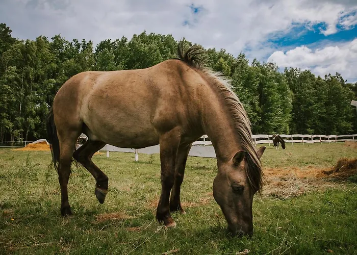 Lesny Dworek Farmház *