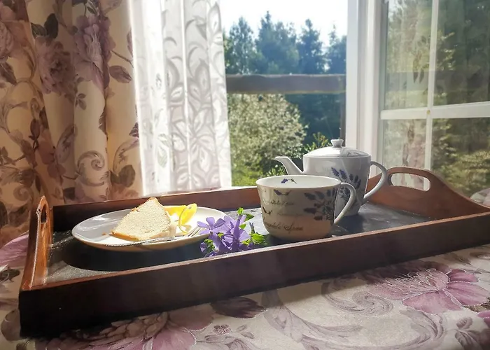 Lesny Dworek * Darłowo